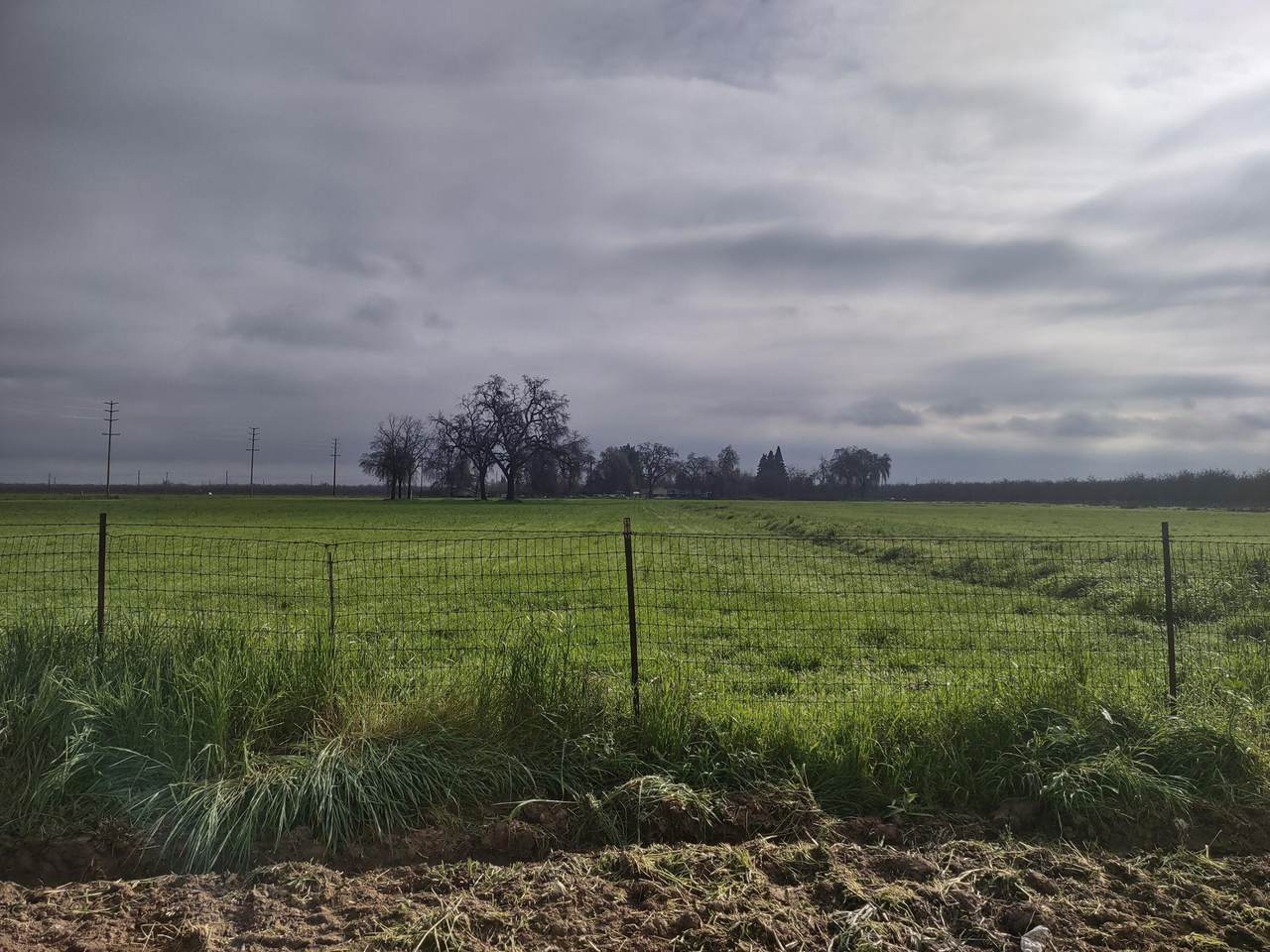 https://bt-photos.global.ssl.fastly.net/tulare/1280_boomver_3_236086-2.jpg