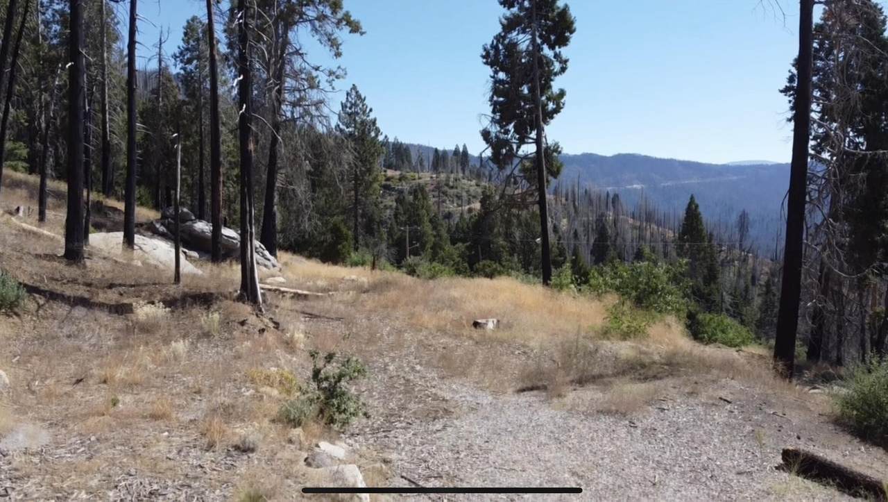 52762 Redwood Drive - Photo 1