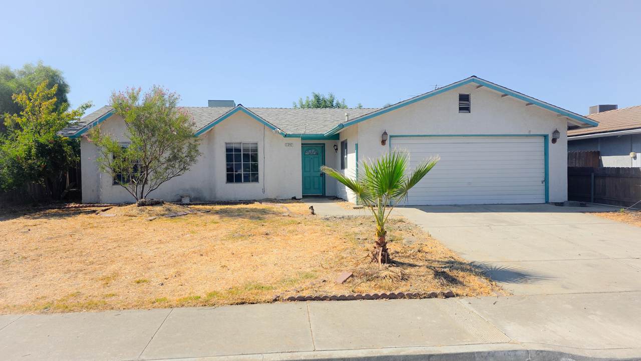 1347 Levich Street - Photo 1