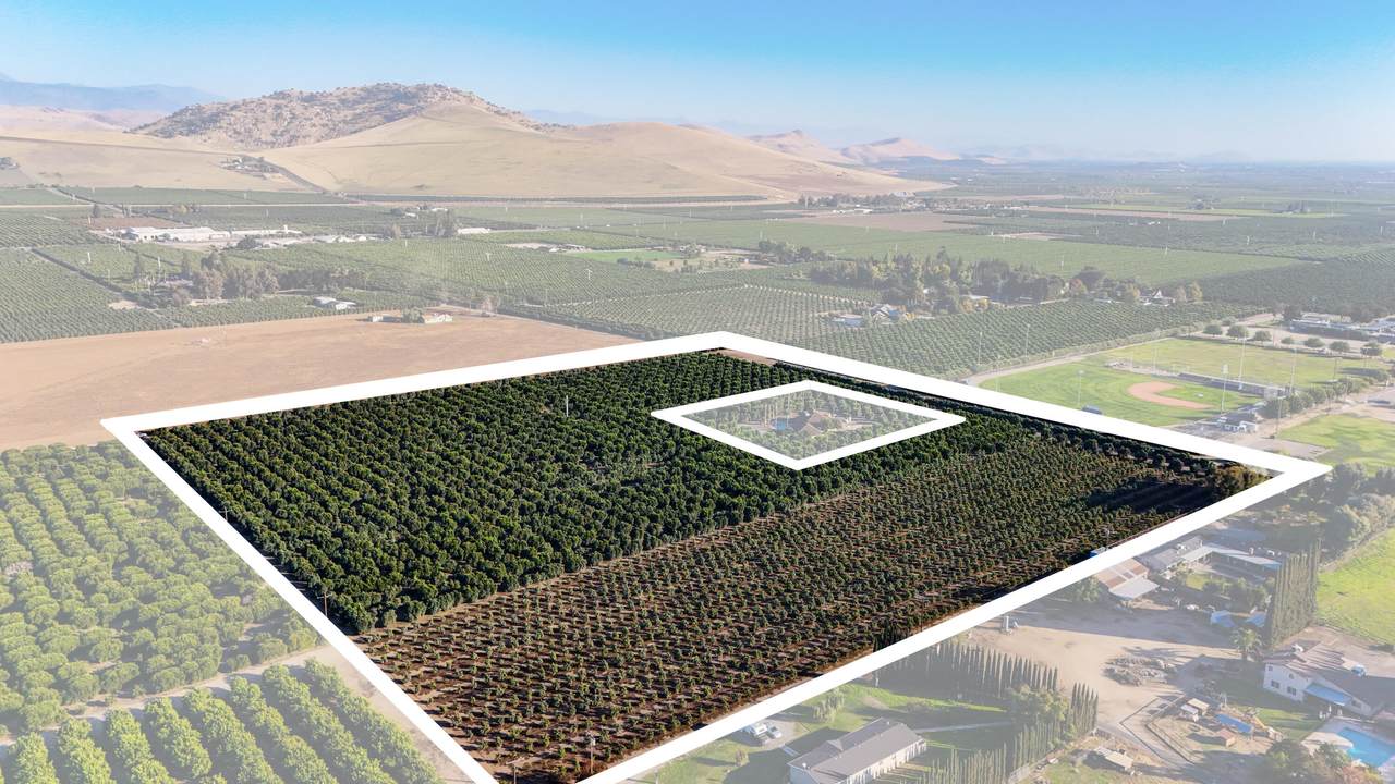 1435 Palm Drive - Photo 1