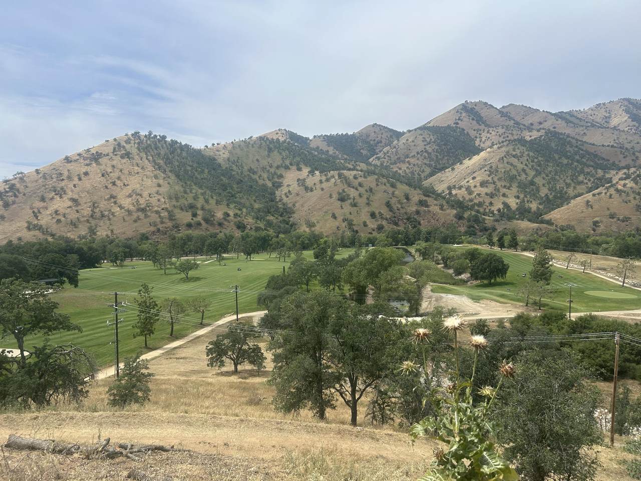  Sierra Drive - Photo 1