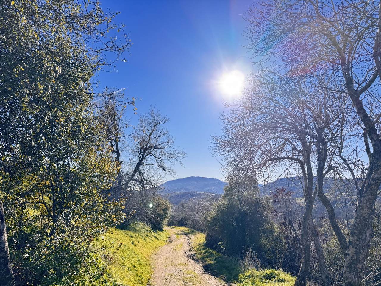 https://bt-photos.global.ssl.fastly.net/tulare/1280_boomver_2_239158-2.jpg