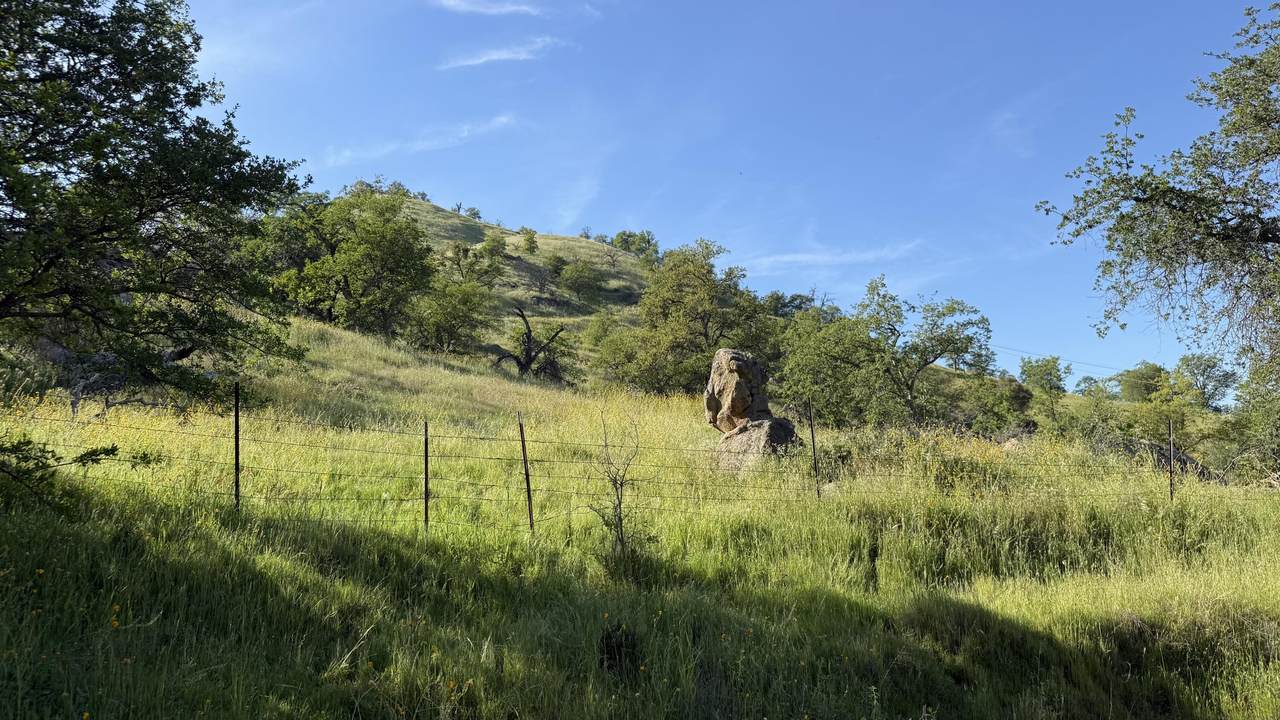 https://bt-photos.global.ssl.fastly.net/tulare/1280_boomver_2_240459-2.jpg