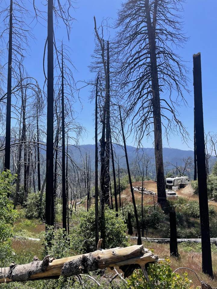  Highway 190 - Photo 1