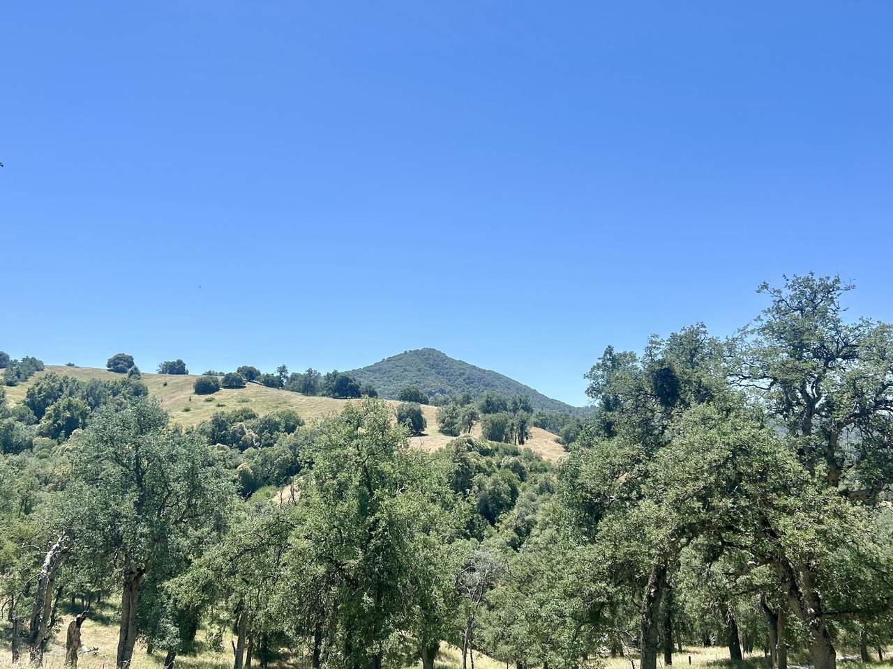 https://bt-photos.global.ssl.fastly.net/tulare/1280_boomver_1_241770-2.jpg