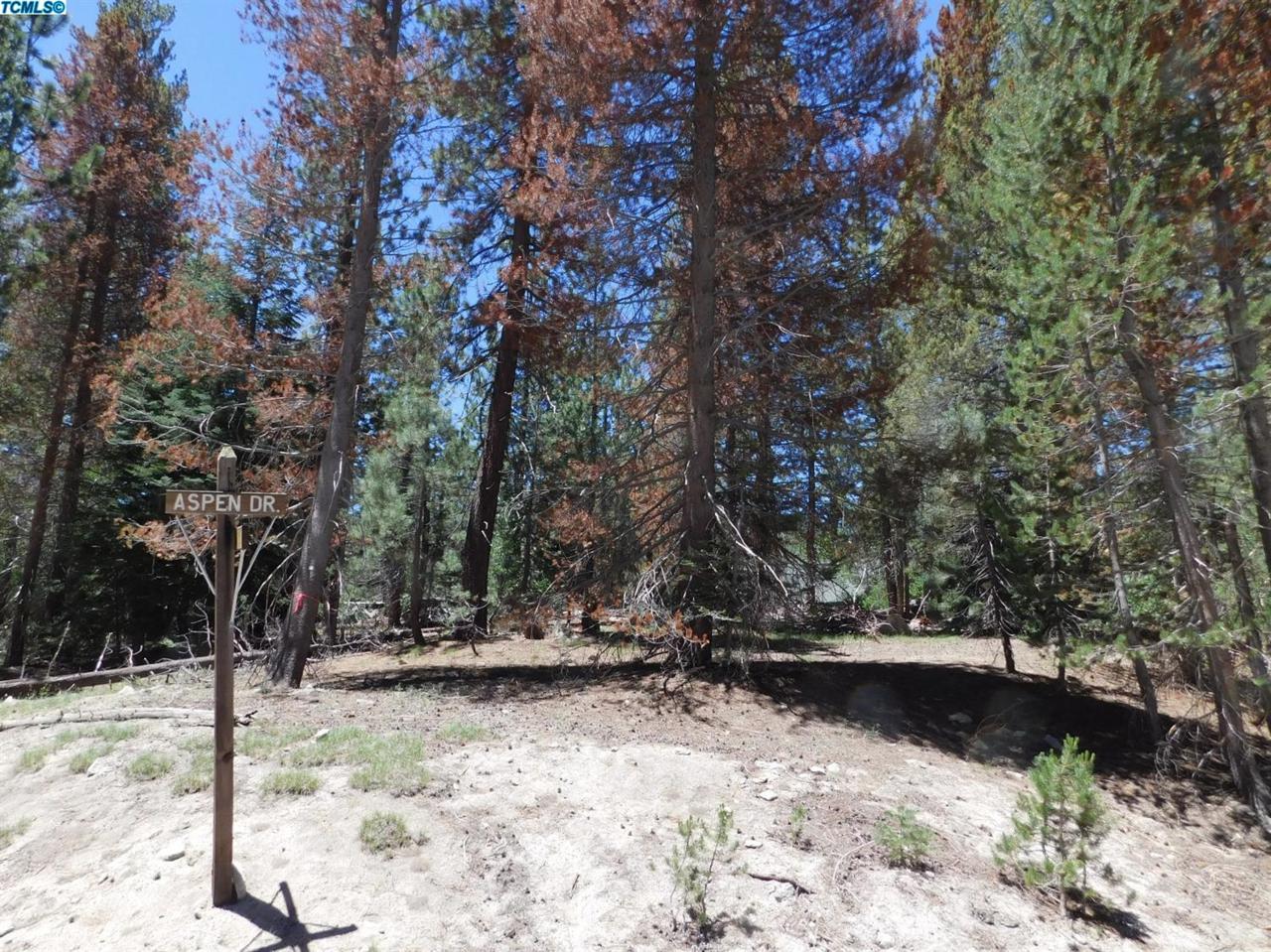 0 Aspen Drive - Photo 1