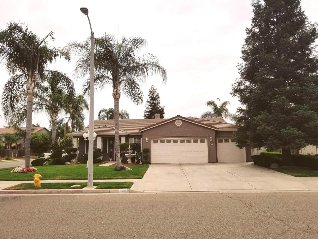 1563 Palomino Street - Photo 1