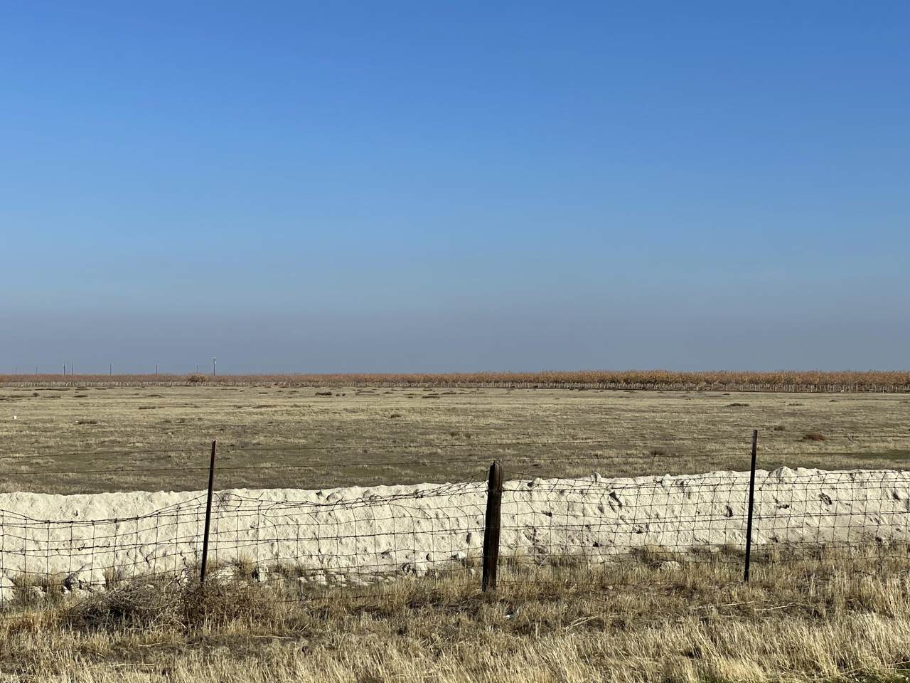 0 Garces Highway - Photo 1