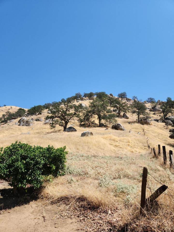 0 Avenue 176 - Photo 1