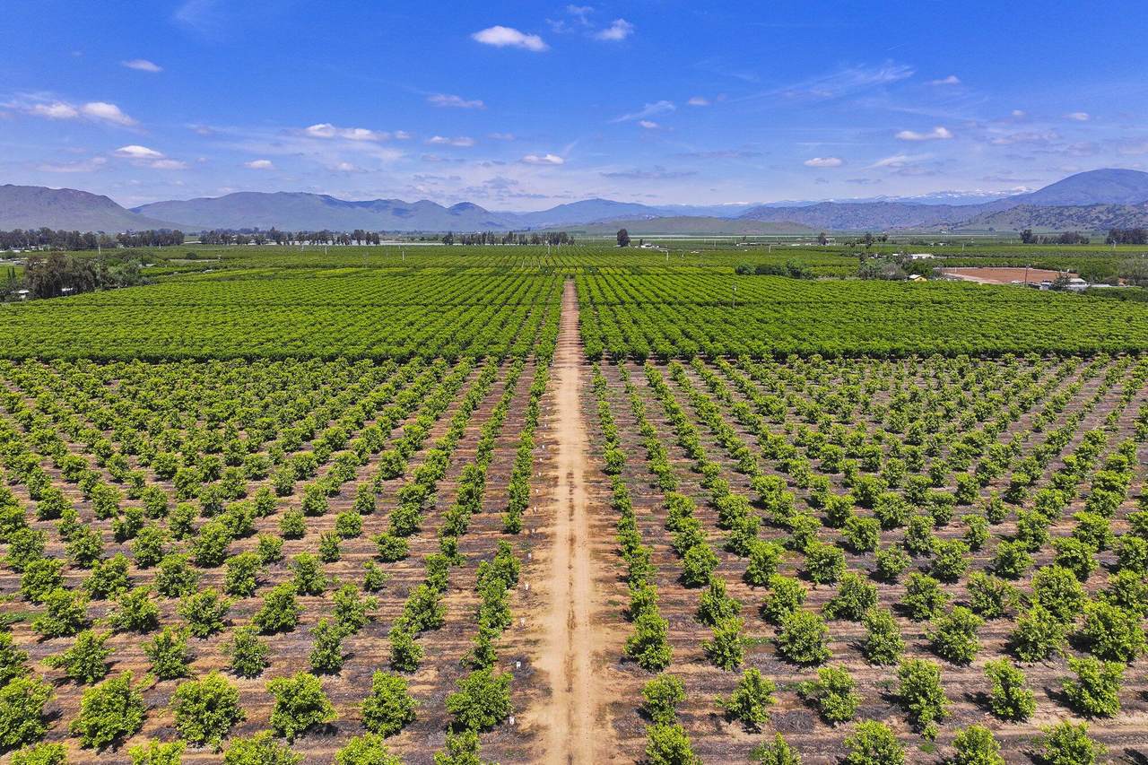 23496 Lincoln Avenue - Photo 1