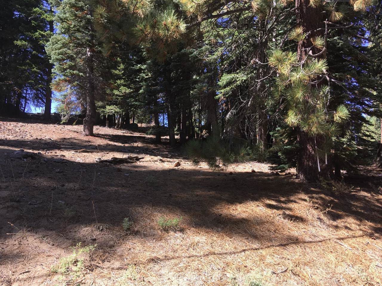 0 Aspen Drive - Photo 1