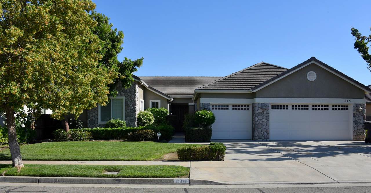 645 Chestnut Avenue - Photo 1