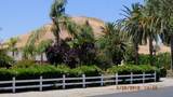 30914 Angus Loop Drive - Photo 4