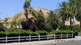 30914 Angus Loop Drive - Photo 5