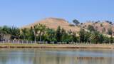 30914 Angus Loop Drive - Photo 8
