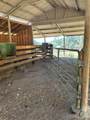 51083 Whitaker Forest Road - Photo 15