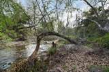 42440 Kaweah River Drive - Photo 94