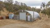 37678 Cardinal Lane - Photo 45