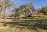 37678 Cardinal Lane - Photo 51