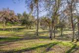 37678 Cardinal Lane - Photo 54