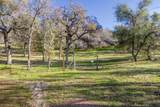 37678 Cardinal Lane - Photo 56
