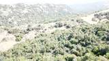 15 Acres - Photo 6
