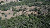15 Acres - Photo 8