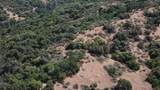 15 Acres - Photo 9