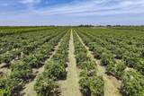  Visalia Road - Photo 26