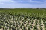  Visalia Road - Photo 29