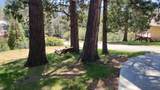 339 View Drive - Photo 100