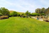 31417 Dahlem Drive - Photo 59