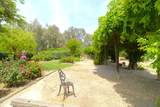 31417 Dahlem Drive - Photo 62