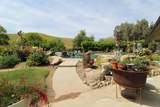 31417 Dahlem Drive - Photo 66