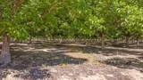  Ave 320 - Photo 6