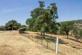 33708 Bronco Lane - Photo 53