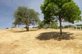 33708 Bronco Lane - Photo 59