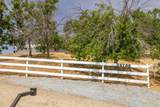 33708 Bronco Lane - Photo 60