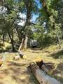 Lot 7 Pine Flat Drive - Photo 15