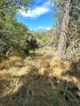 Lot 7 Pine Flat Drive - Photo 9