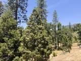 51911 Hogback Rd - Photo 18