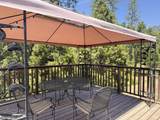 51911 Hogback Rd - Photo 21