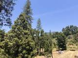 51911 Hogback Rd - Photo 24