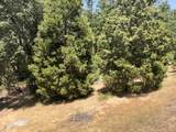 51911 Hogback Rd - Photo 26