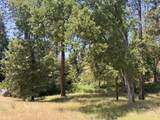 51911 Hogback Rd - Photo 39
