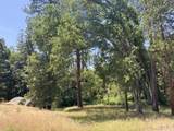 51911 Hogback Rd - Photo 47