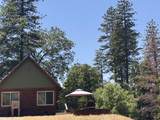 51911 Hogback Rd - Photo 48