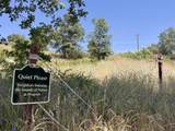 51911 Hogback Rd - Photo 49