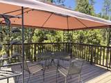 51911 Hogback Rd - Photo 6