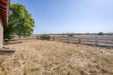 43125 Road 80 - Photo 22